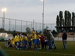 IL CALCIO CHE MUORE.....MA NEL FRATTEMPO SCENDONO IN CAMPO I PULCINI.