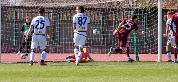 Torino-Hellas Verona 2-1