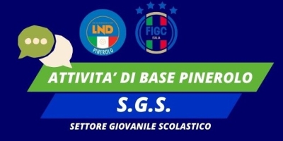 LND Pinerolo - Pubblicati i calendari autunnali dei campionati Esordienti e Pulcini della stagione 2024/25